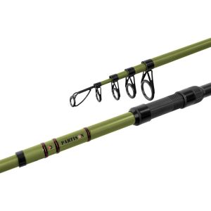 DELPHIN PARTISAN, Tele Karpfen Angelrute