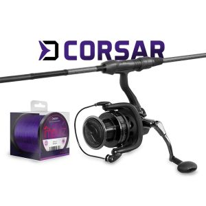 DELPHIN CorsaBLACK NERO, Karpfen-Set