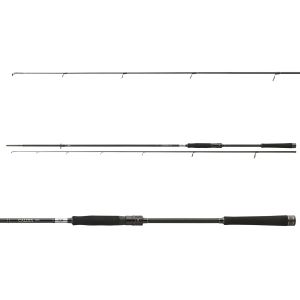 DAIWA Caldia Extra Fast Spin, 20-60g, 2 Teile, Spinning Angelrute