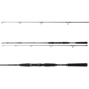 DAIWA SEAHUNTER X PILK COD, 100-200g, 2 Teile, Pilk Angelrute