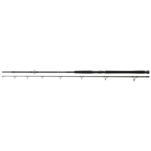 DAIWA Exceler Catfish Boje, 3m, 9,84ft, 200-600g, 2 Teile, Waller Angelrute, 11818-306