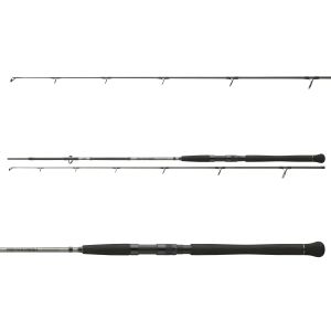 DAIWA Powermesh Catfish Spin, 2,7m, 0-135g, 2 Teile, Wels Angelrute, fast action