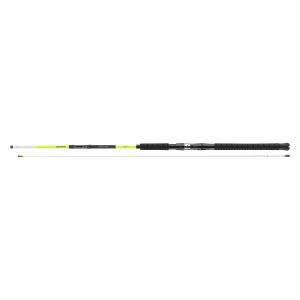 DAIWA SEALINE X TREME INTERLINE LIGHT, 2,25m, 7,38ft, 100-250g, 2 Teile, Inline-Pilk Angelrute, Medium Fast, 11845-225