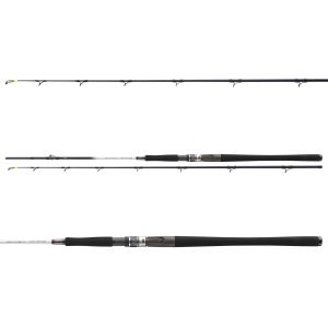 DAIWA GRANDWAVE, 2 Teile, Boots Angelrute, fast Action