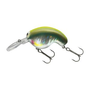 DAIWA Prorex Fuku 1 Crank, Crankbait, 5,5cm, yummi, 15262-506