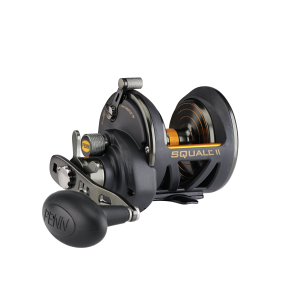 PENN Squall II Conventional, Multi Angelrolle, Sternbremse